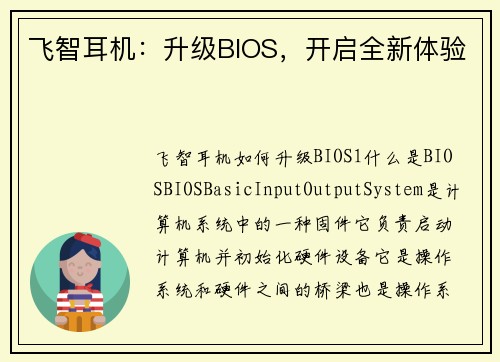 飞智耳机：升级BIOS，开启全新体验